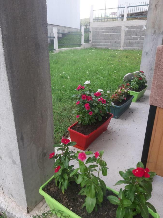 Apartments Andriyana Žabljak Eksteriør billede